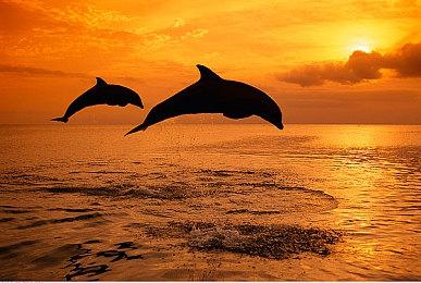 国产恐怖解密游戏《纸嫁衣3 鸳鸯债》现已在Steam发售