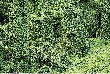 《勇者斗恶龙3 HD-2D重制版》制作人希望开发《最终幻想6》HD-2D重制版