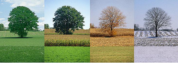 《反恐精英2》10月份流失了超18万玩家